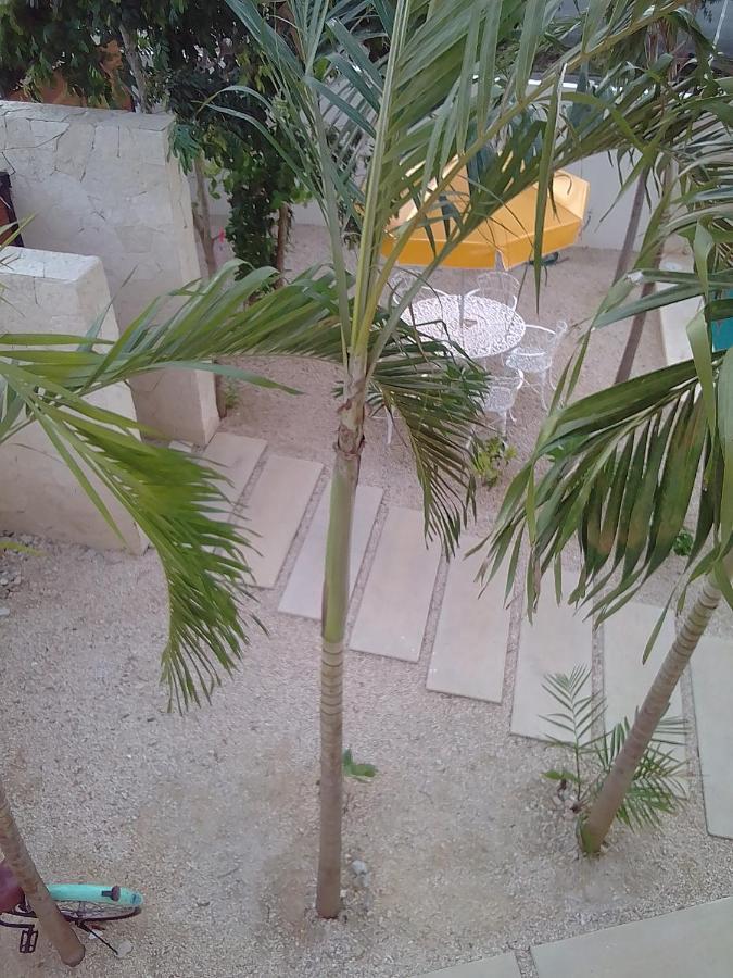 Posada Tumben Ka'A Tulum Eksteriør bilde
